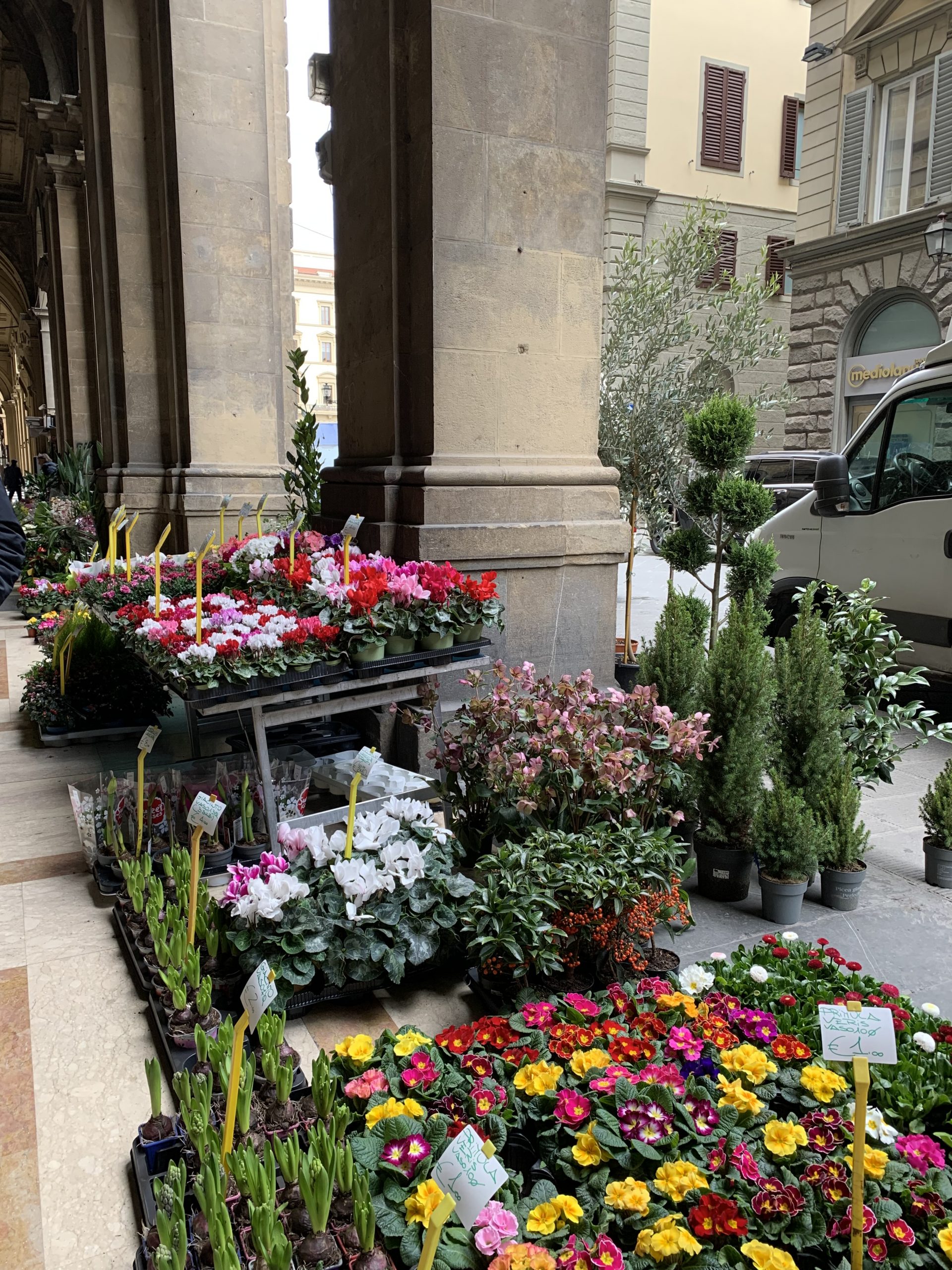 Concerns surround the future of Thursday’s flower market | The ...